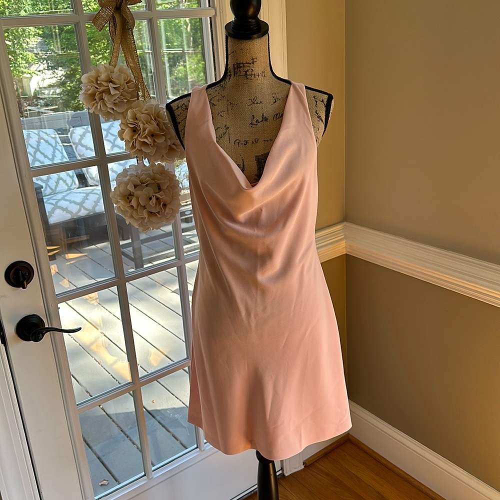 Alice + Olivia NWT blush lined dress size 10, measurements in description